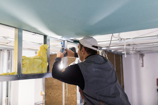 Best Professional Insulation Contractor  in Stone Mountain, GA