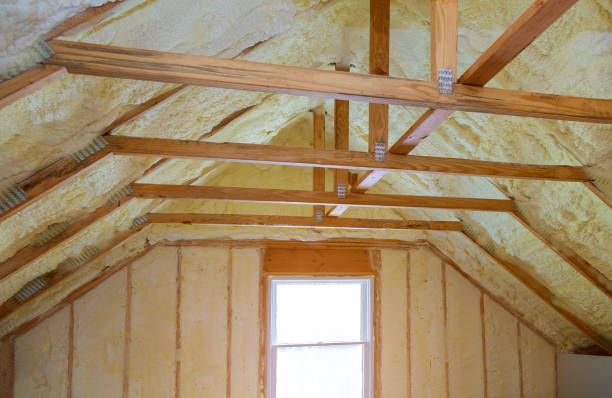 Best Professional Insulation Contractor  in Stone Mountain, GA